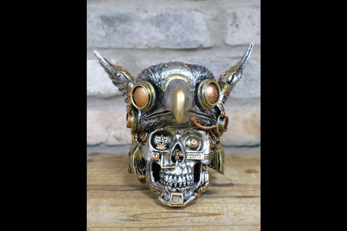 Bird On Skull