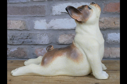 Stretching Dog