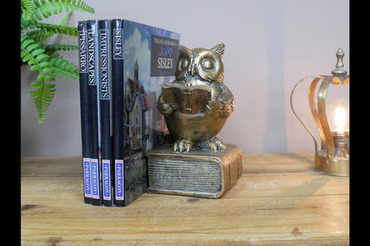 Reading Owl