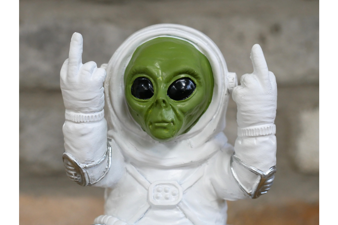 Up Yours Alien