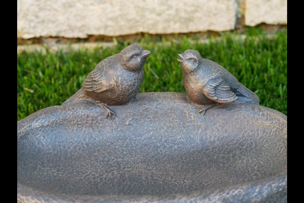 Bird Feeder