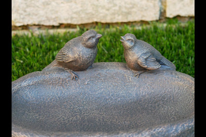 Bird Feeder