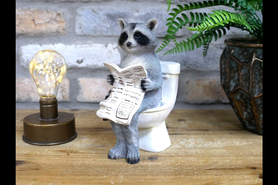 Racoon On The Loo