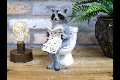 Racoon On The Loo