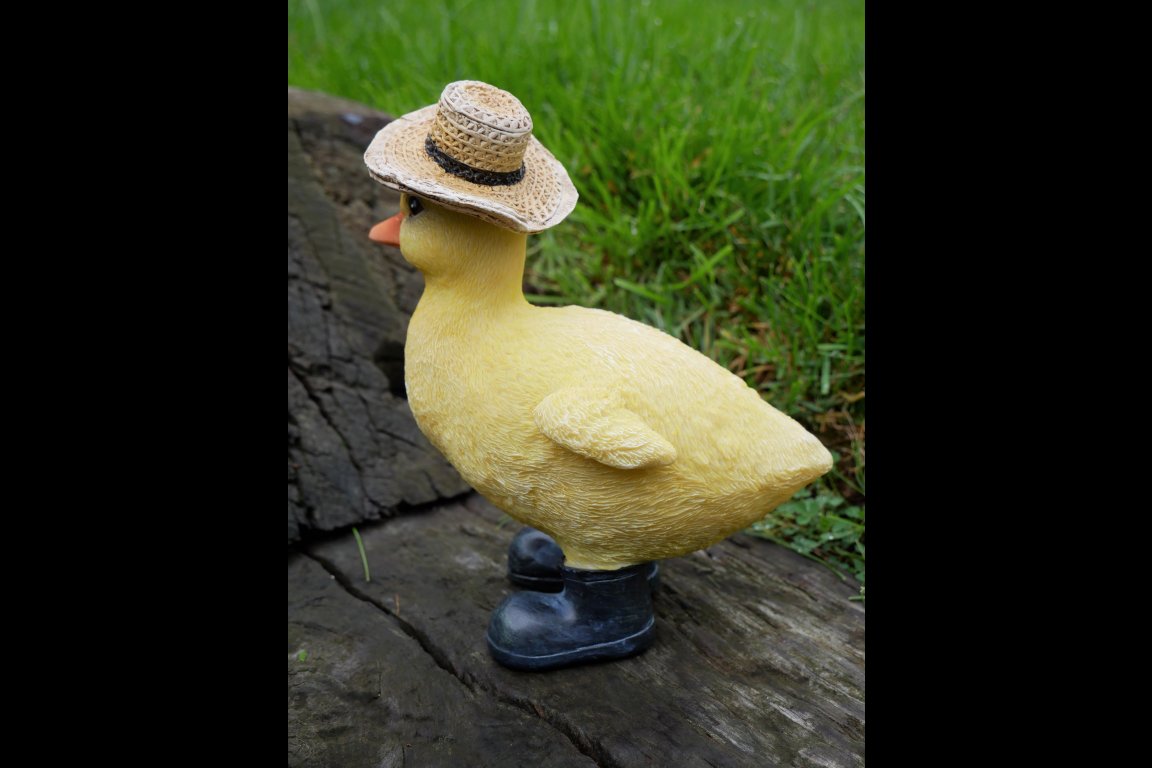 Chick With Hat