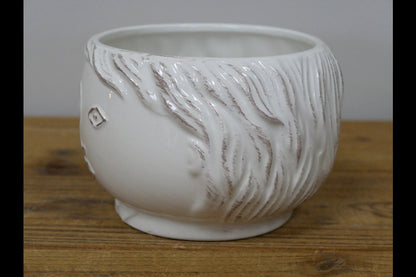 Face Vase