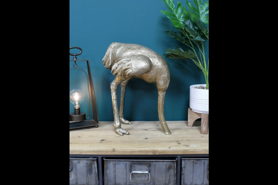 Ostrich (Head In Sand)