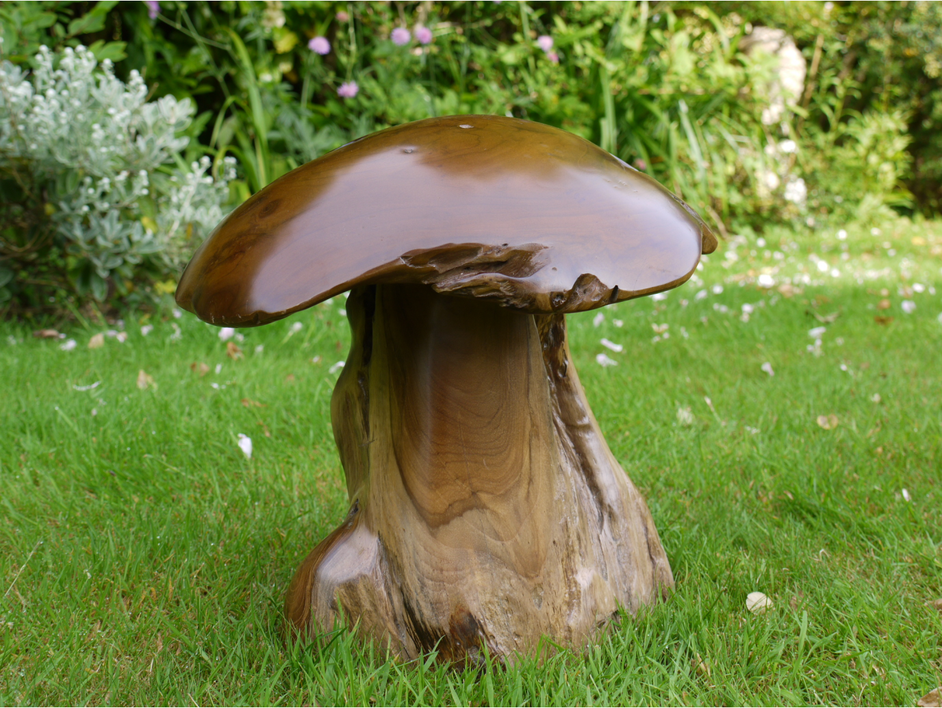 Wood Mushroom