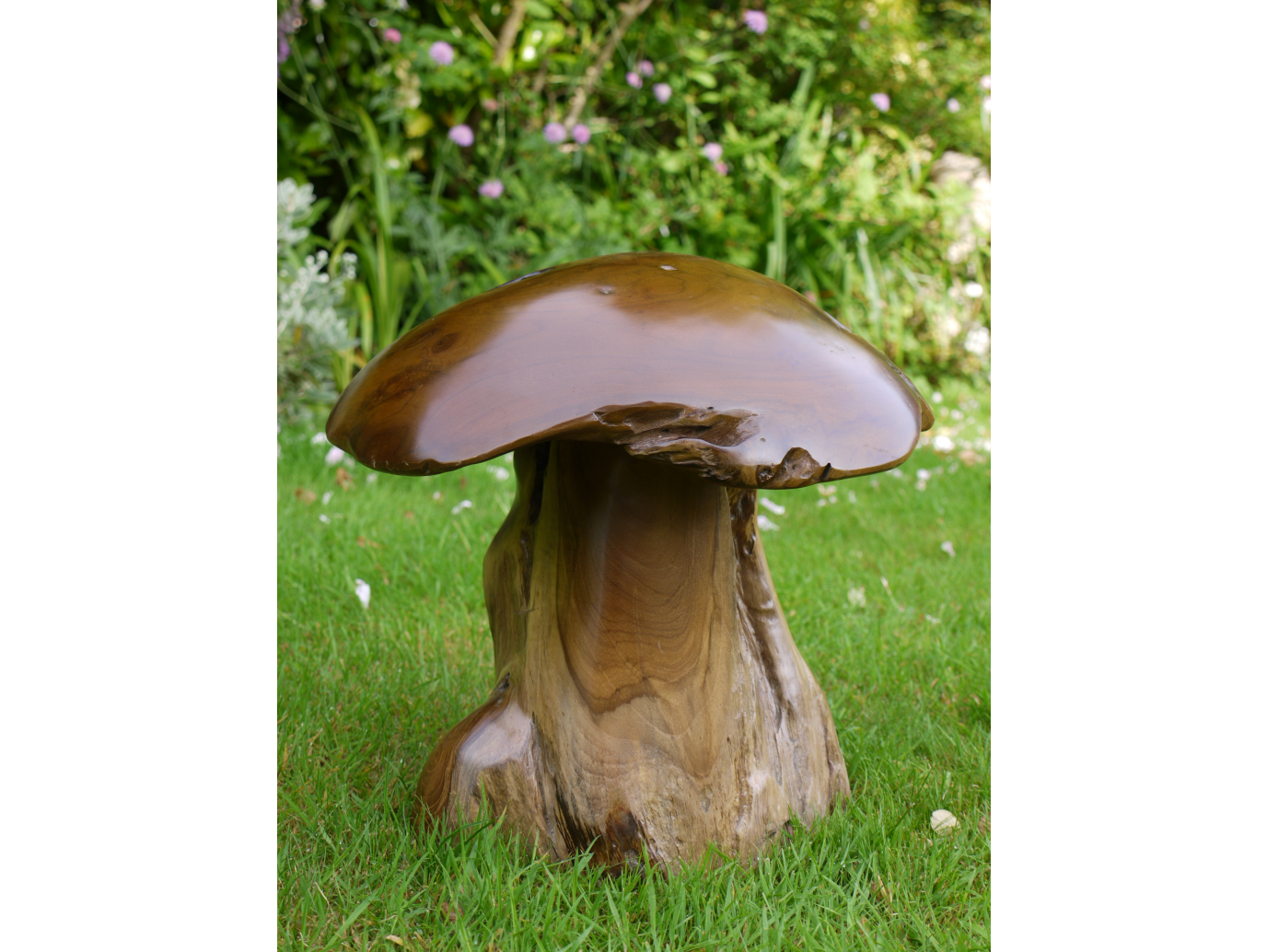 Wood Mushroom