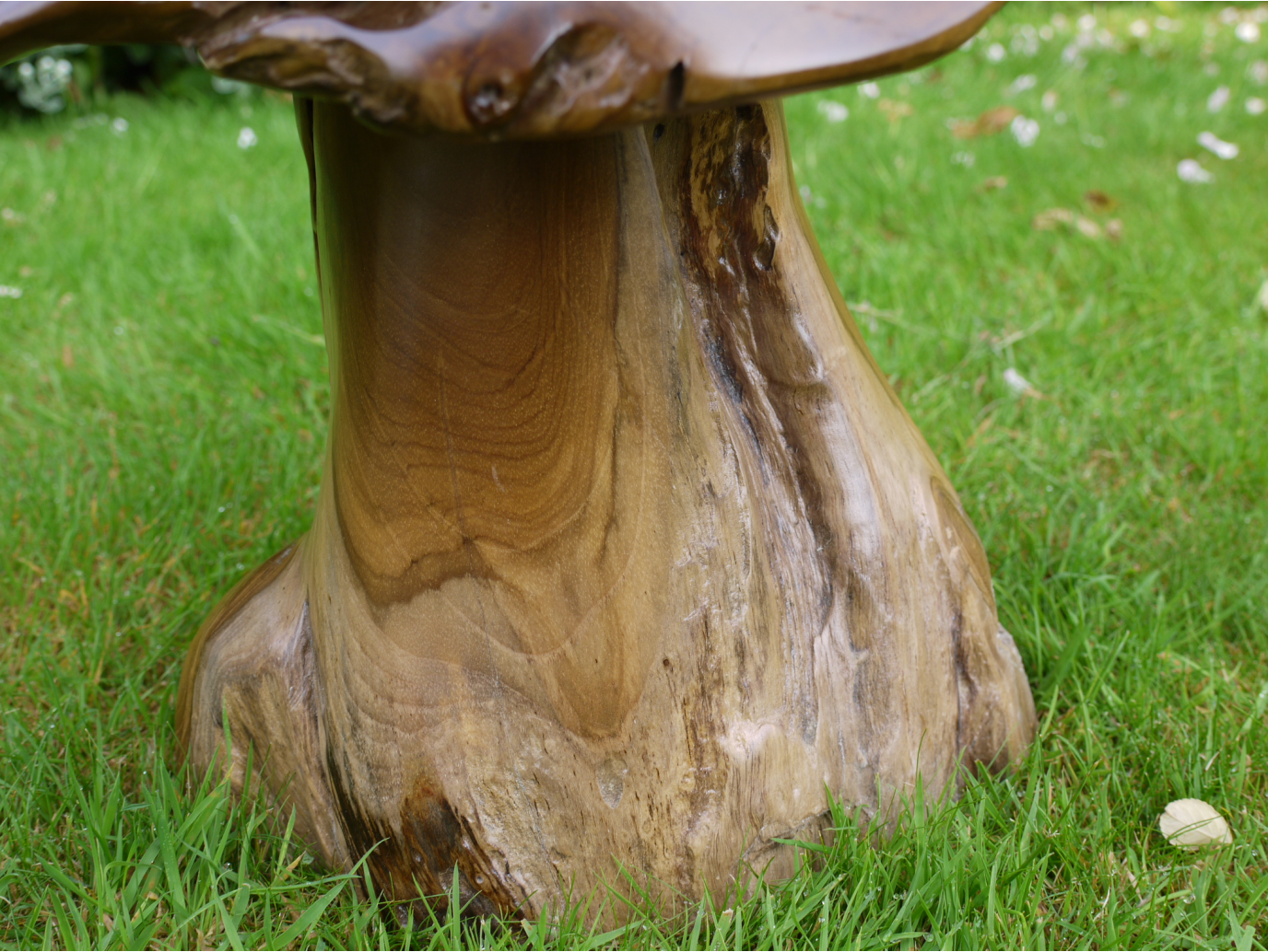 Wood Mushroom