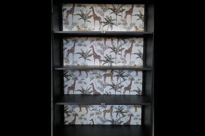 Display Cabinet