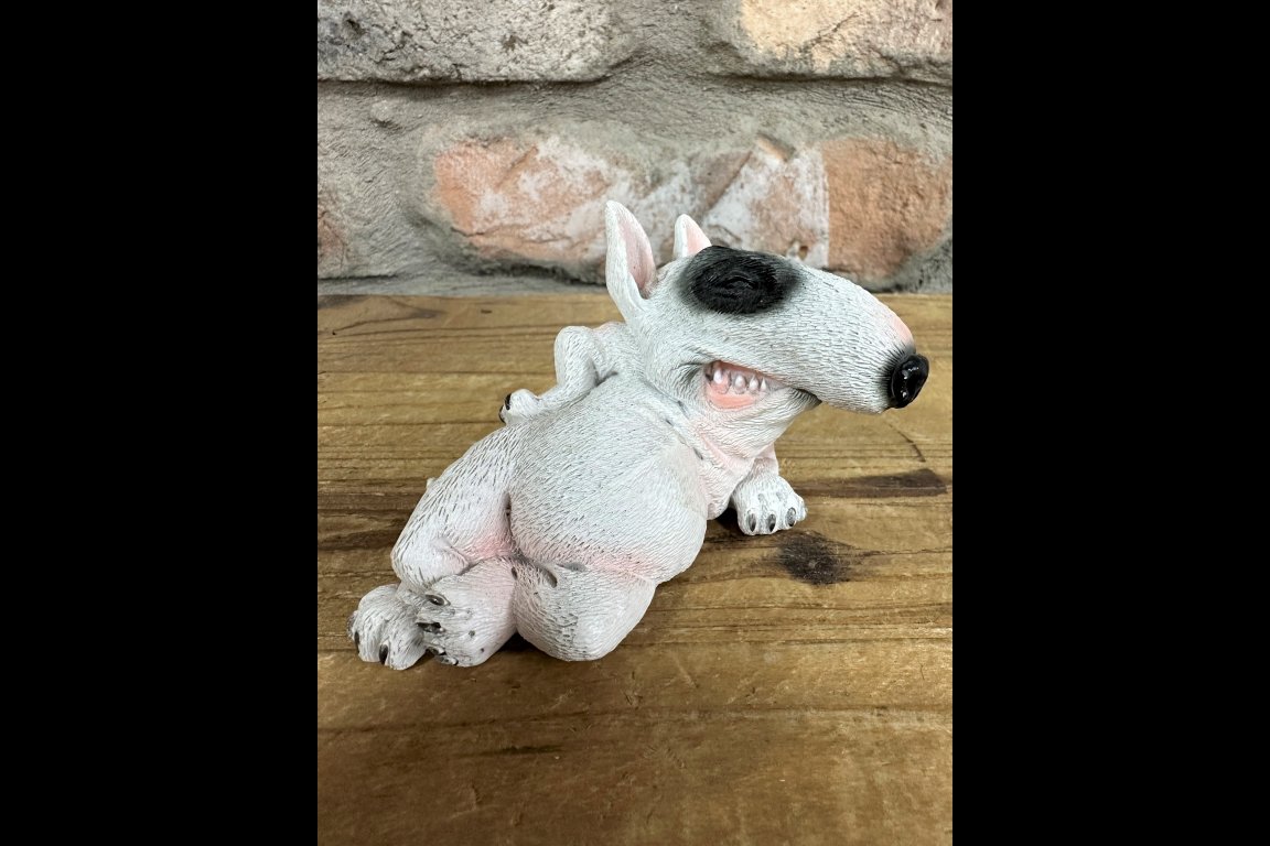 Smirking Dog