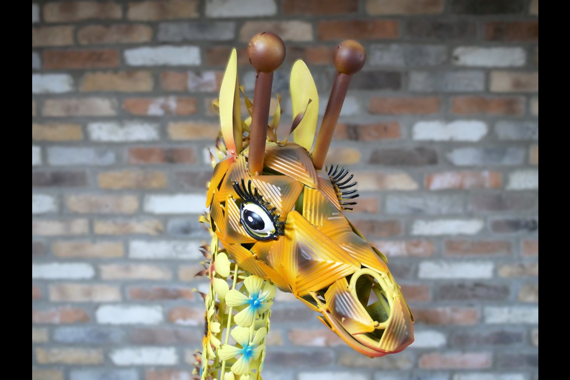 Flower Giraffe