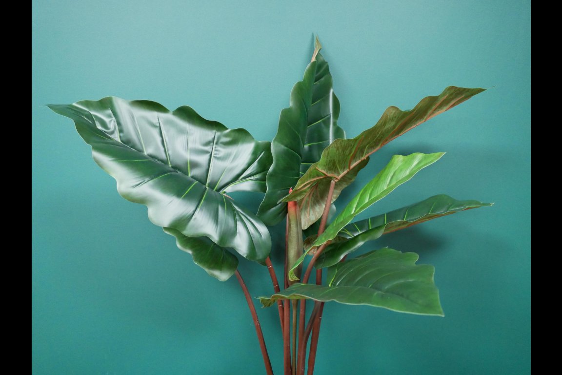 Artificial Taro