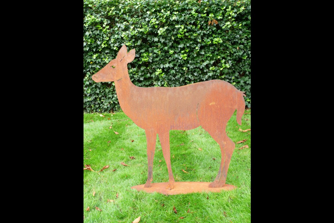 Rusty Deer