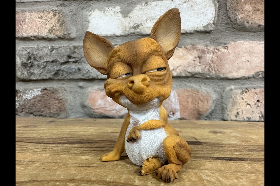Grining Dog