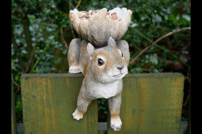 Squirrel Feeder