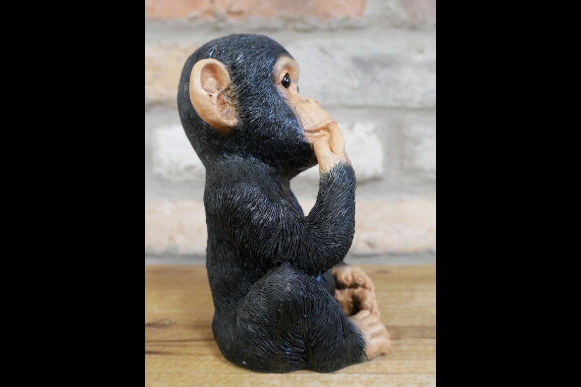 Finger In Mouth Monkey - Small