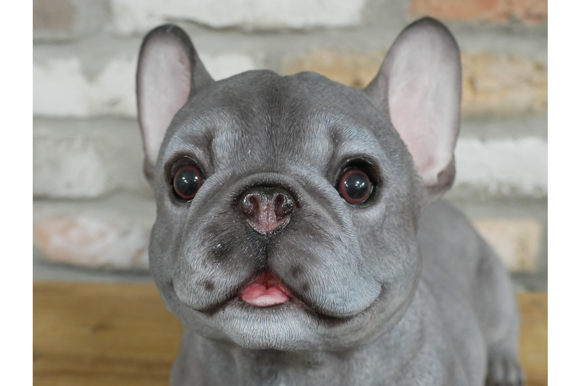 Laying Dog (Frenchie)