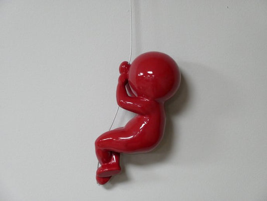 Abseiling Ball Head