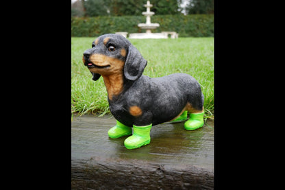 Dog In Boots