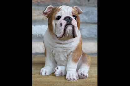 Bulldog