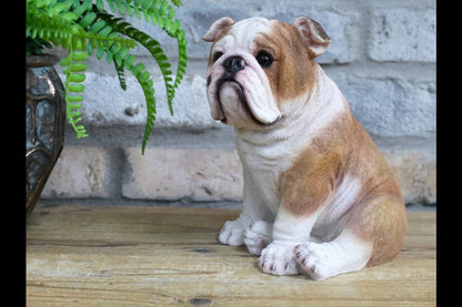 Bulldog