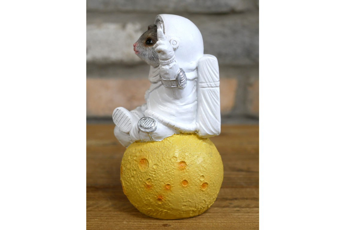 Mouse On Cheese Moon