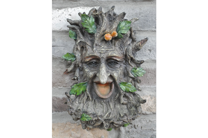 Treeman Bird Feeder