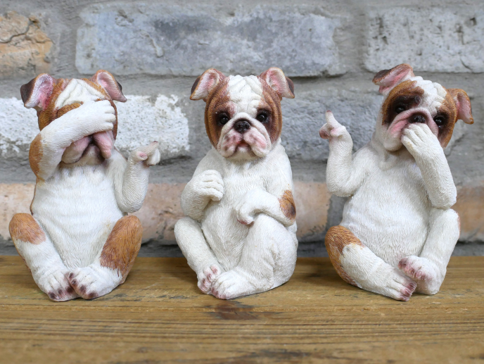 Who Done It Bulldogs (Set of 3)