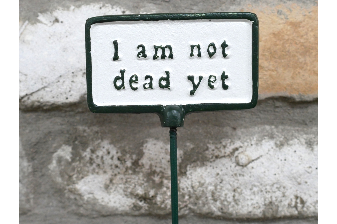 Plant Sign - Not Dead Yet