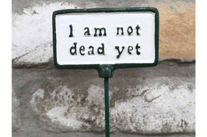 Plant Sign - Not Dead Yet