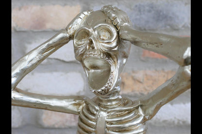 Skeleton