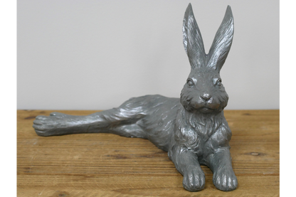 Laying Hare