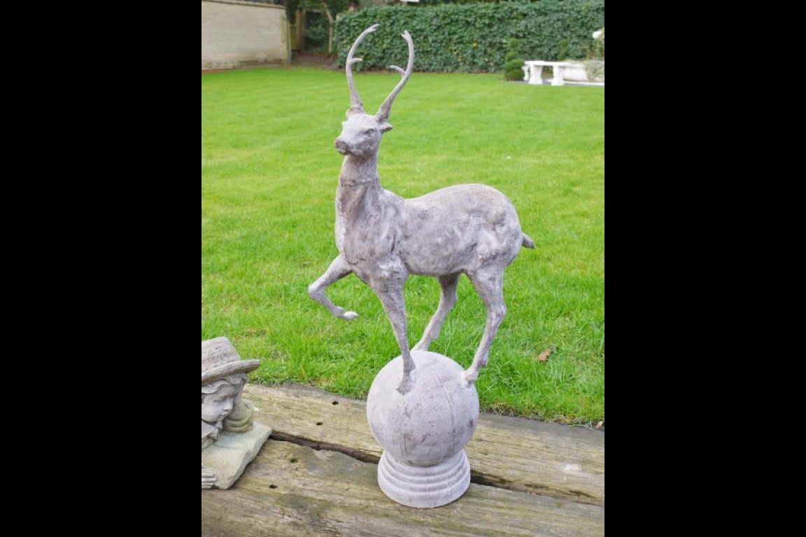 Pair of Stag's