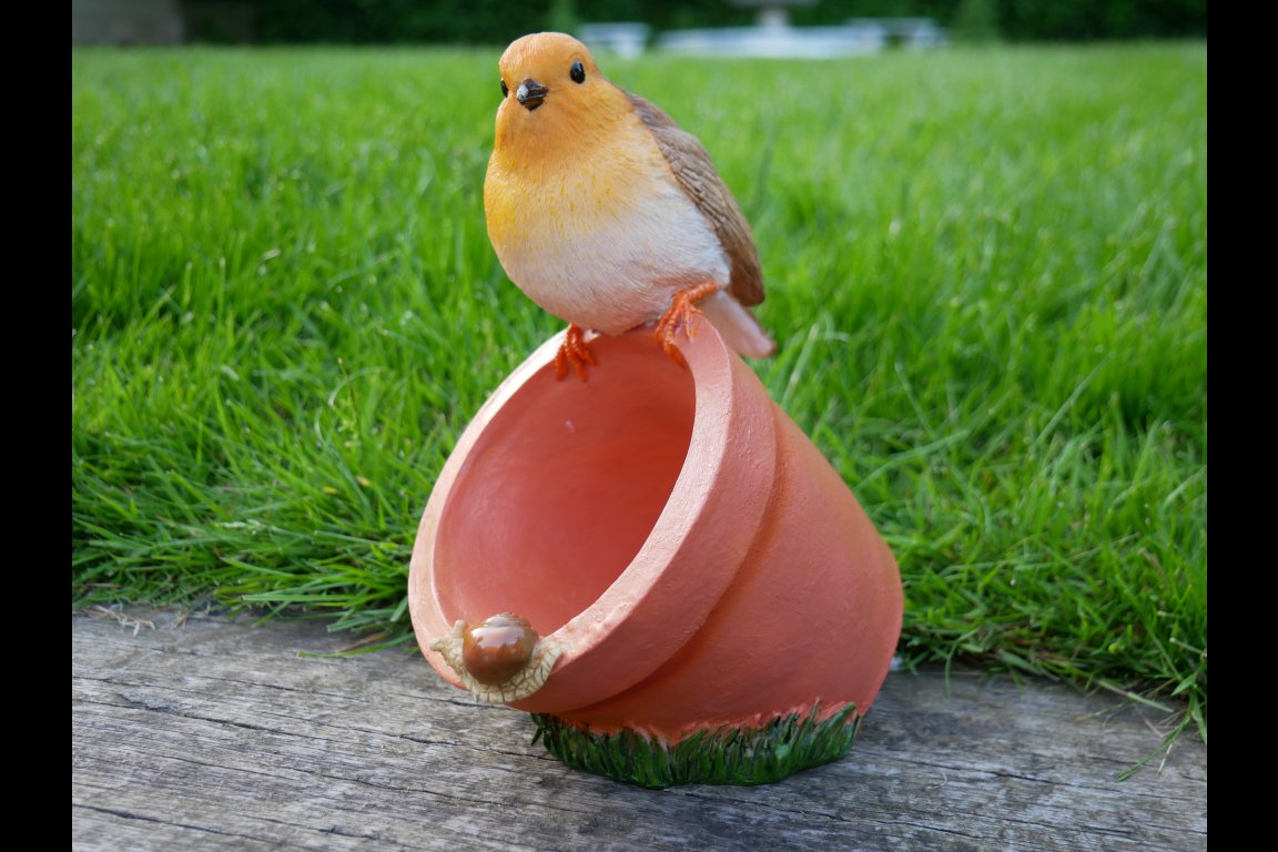 Bird Feeder