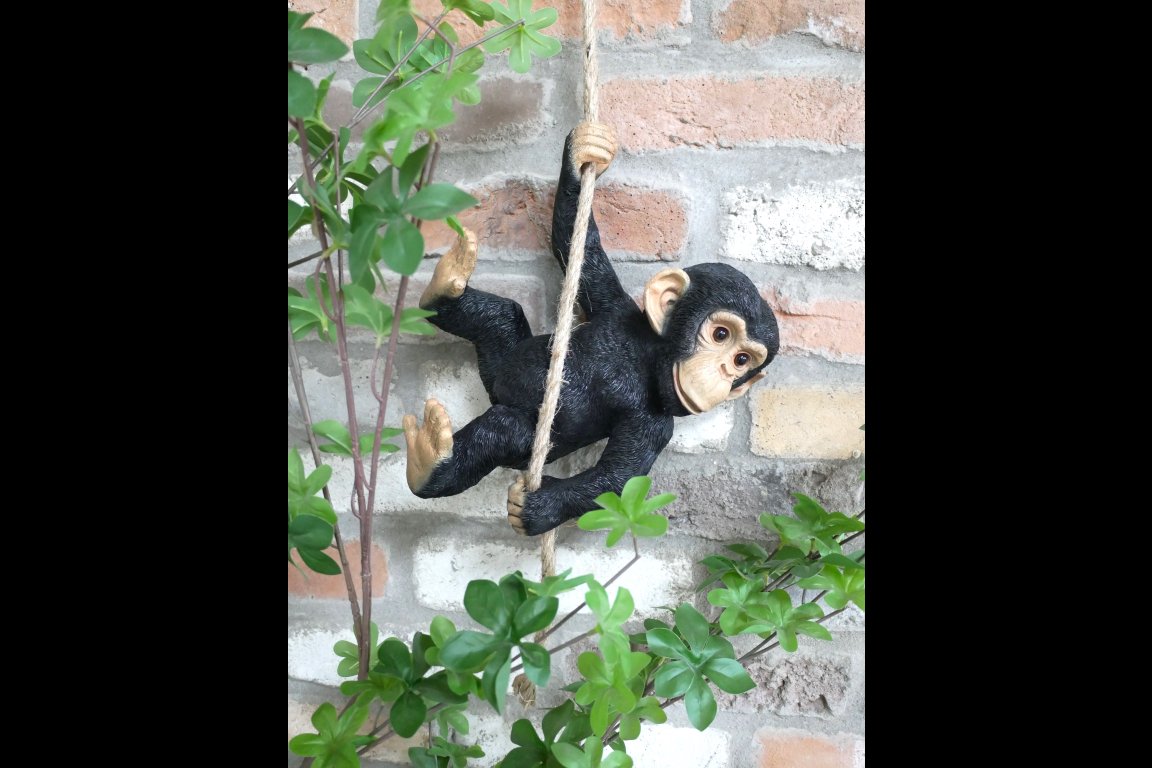 Swinging Monkey