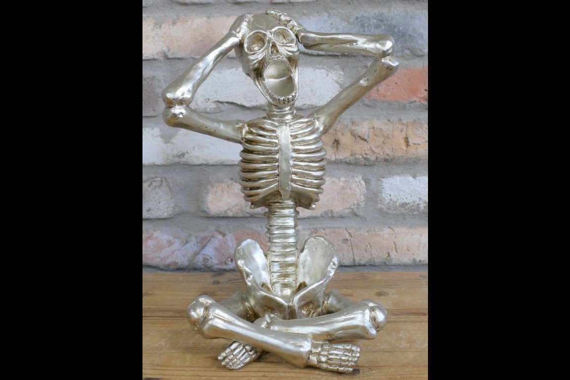 Skeleton