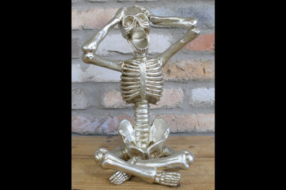 Skeleton