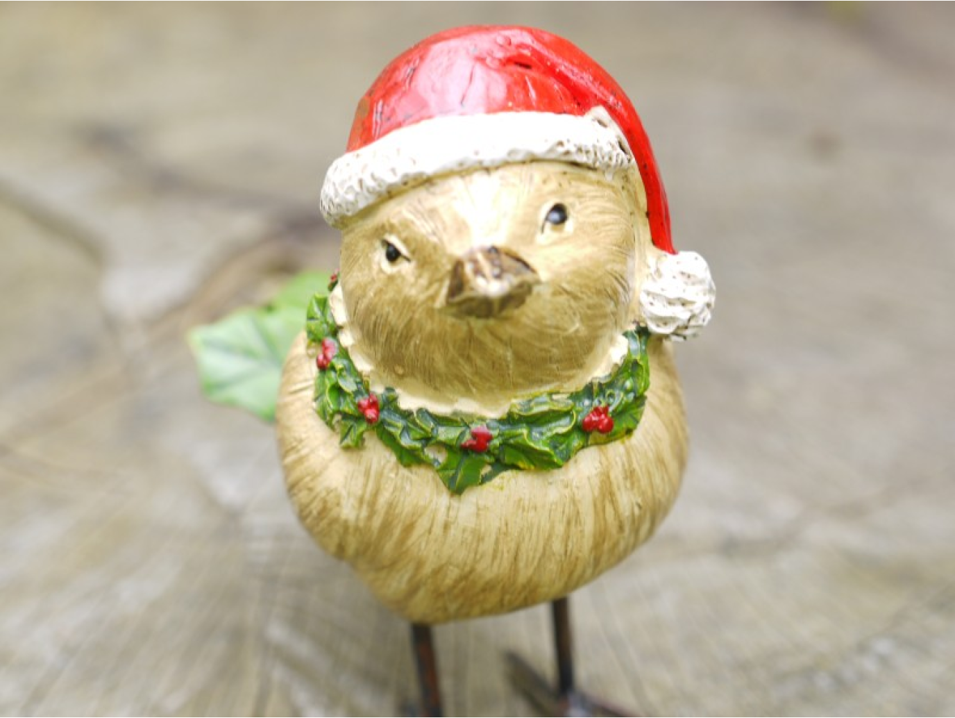 Christmas Bird