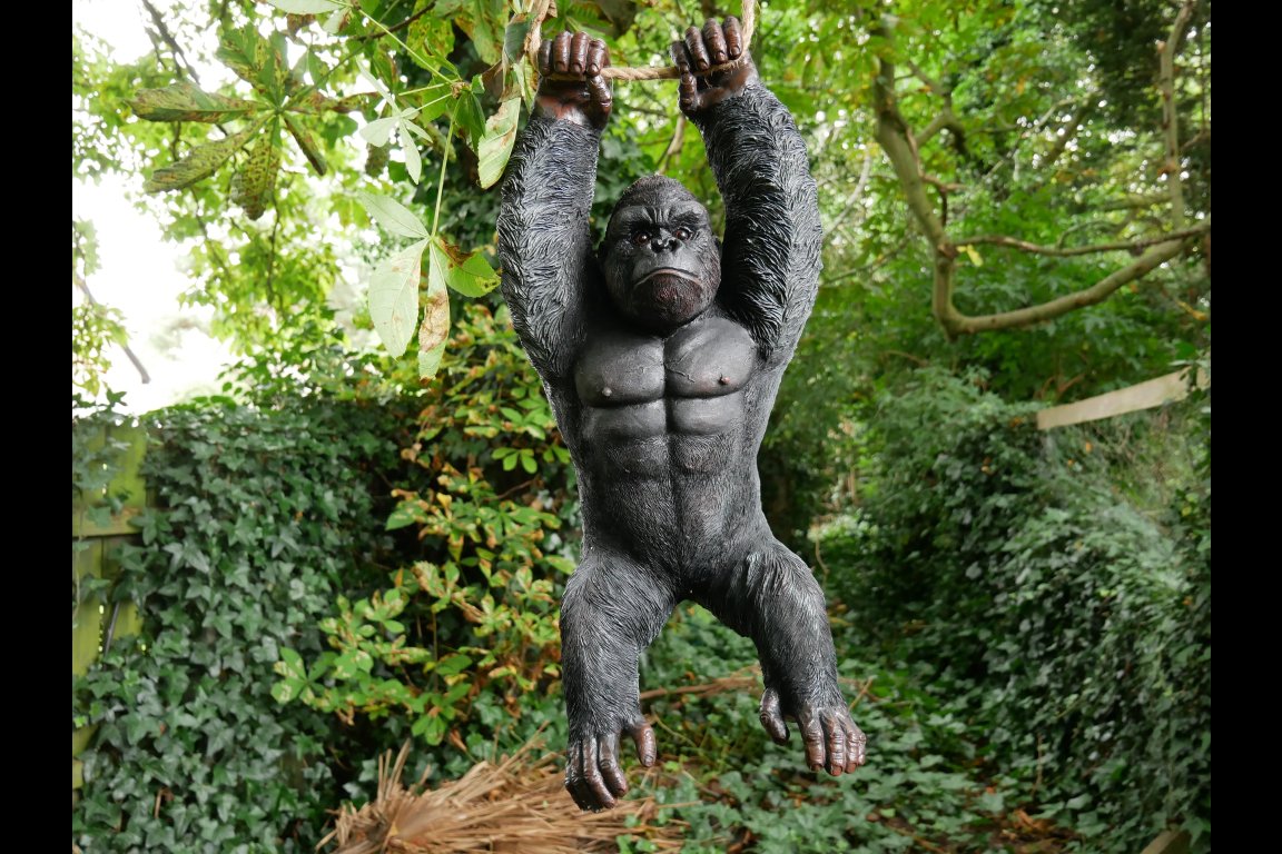 Hanging Gorilla
