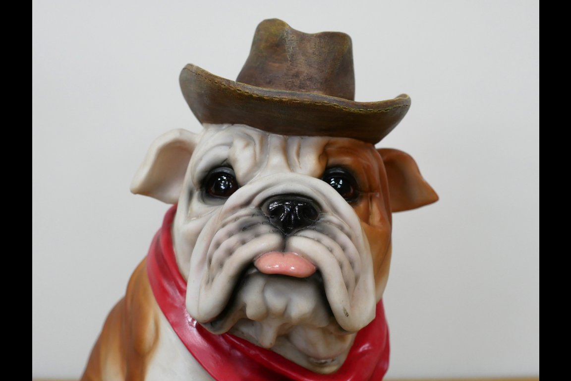 Cowboy Bulldog