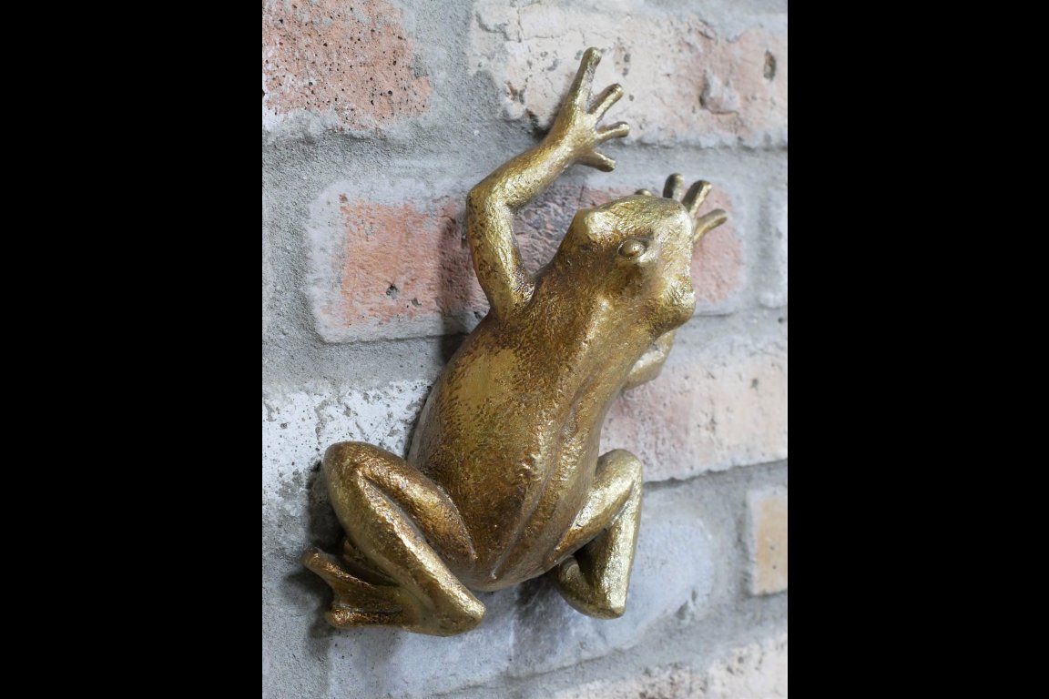 Frog Wall Decoration