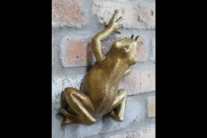 Frog Wall Decoration