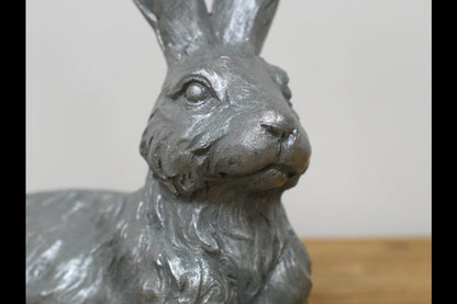 Laying Hare