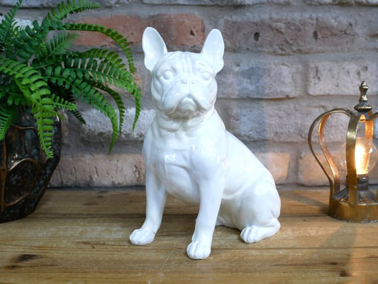 White Dog (Frenchie)