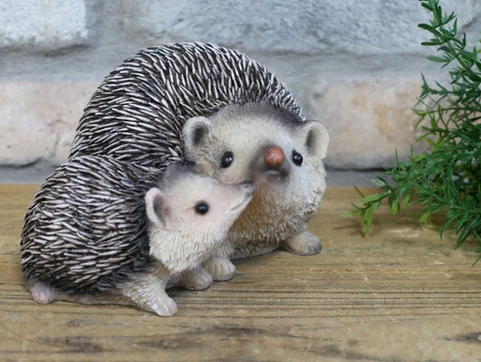 Hedgehogs