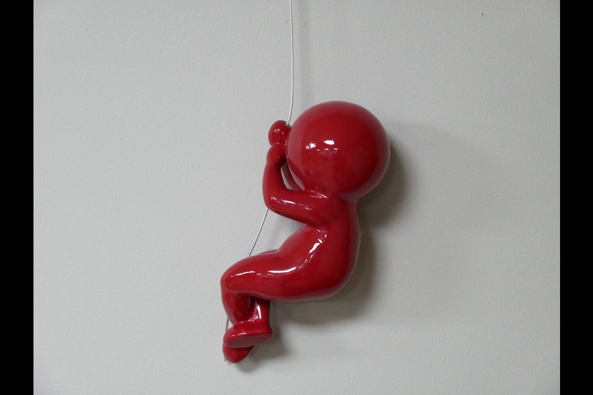 Abseiling Ball Head