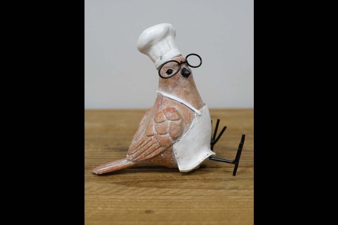 Bird Chef