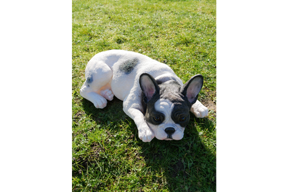 Laying Dog